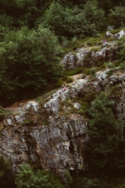 The Wonders of Arifat: A Journey to the Enchanted Waterfall - Taking in Biodiversity and Tranquility