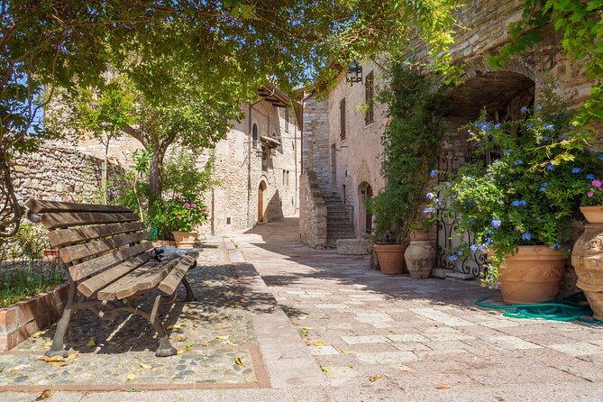The Wonders of Assisi Private Walking Tour - Tour Highlights