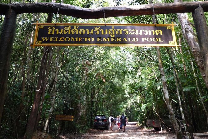 The Wonders of Thailands Last Lowland Rainforest - Unique Features and Attractions