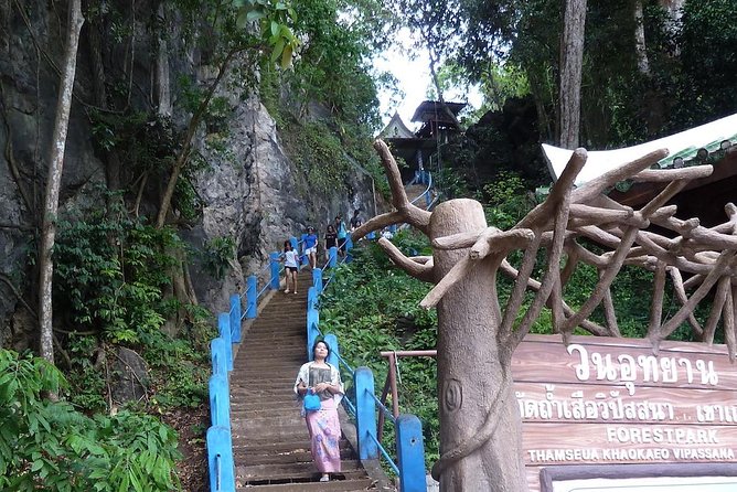 The Wonders of Thailands Last Lowland Rainforest - Eco-Tourism Activities