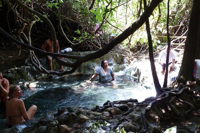 The Wonders of Thailands Last Lowland Rainforest - Practical Information and Tips