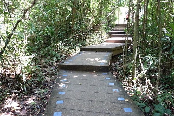 The Wonders of Thailands Last Lowland Rainforest - The Sum Up