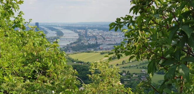 The Wonders of Vienna in a Full Day - Private Car Tour - Transportation and Services