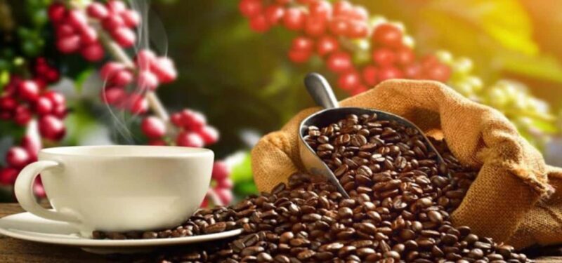 The World of Latte Art: Coffee from the Chiapas Creamy Heart - The Authentic Flavor of Chiapas Coffee