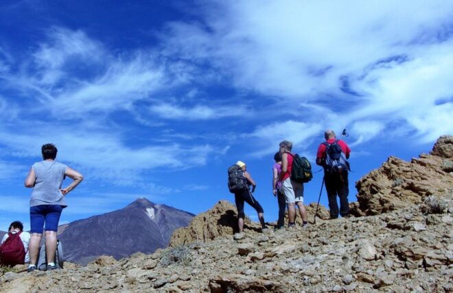 The Wow Factor Walk - Inclusions