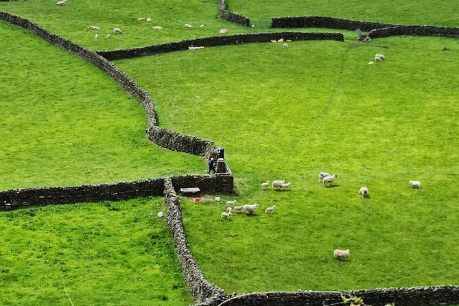 The Yorkshire Dales of All Creatures Great & Small - Inclusions and Meeting Point
