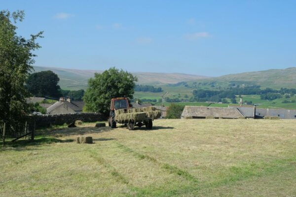 The Yorkshire Dales Tour From York - Common Questions