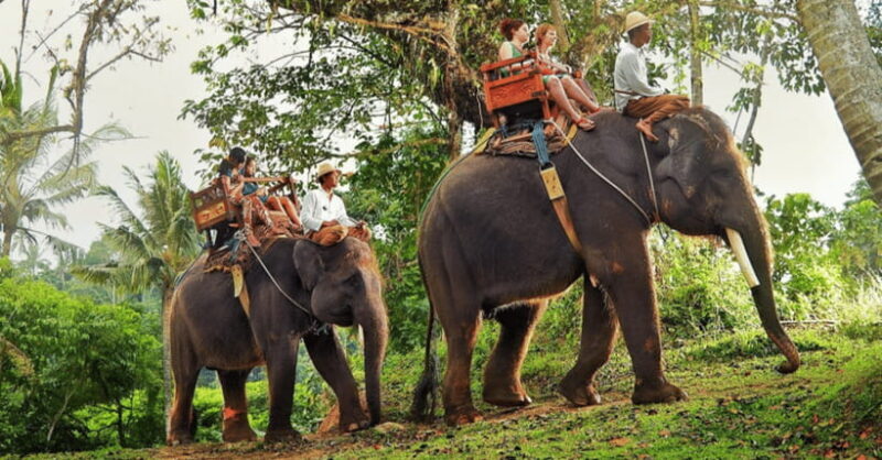 TheActivity that won the Best Tourist Attraction in SriLanka - Who Would Love This Tour