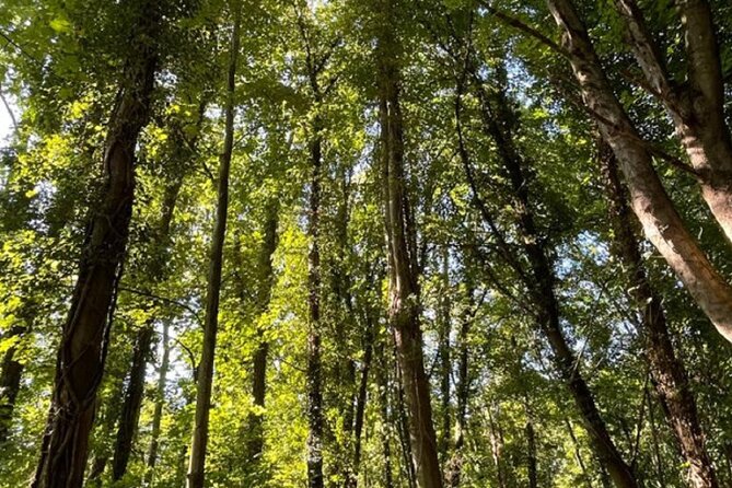 Theater and Walk Ghosts of the Bièvre Valley - Theatrical Performances in the Valley