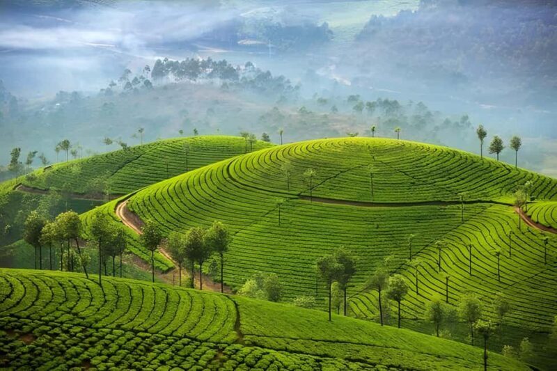 Thekkady Adventure: Off-Road Jeep Safari & Vagamon Tour - Exploring the Itinerary in Detail