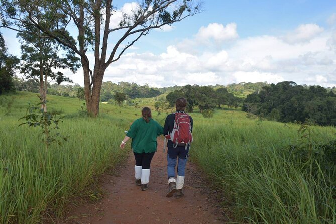 Thep Is a UNESCO World Heritage Site Along With Khao Yai and Ayutthaya. - Si Thep UNESCO World Heritage Site