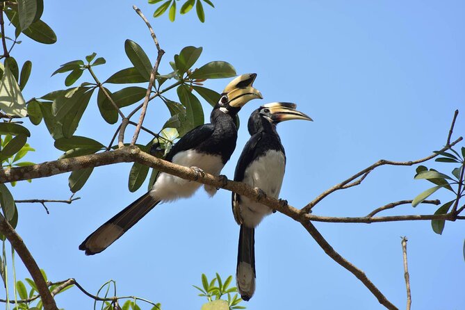 Thep Is a UNESCO World Heritage Site Along With Khao Yai and Ayutthaya. - Exploring Khao Yai