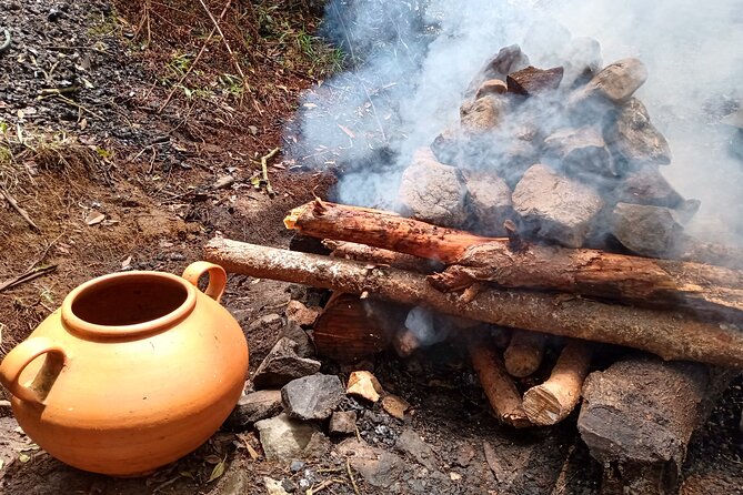 Therapeutic Temazcal: Harmony and Rebirth in the Forest - Connecting With Natures Energy