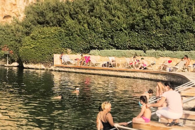 Thermal Lake Olive Oil Tasting Poseidon Temple Private Day Tour - Services Provided During the Tour