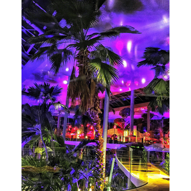 THERME BUCHAREST - TRANSFER + 4.5 HOURS ENTRANCE TICKET - Inclusions of the Package