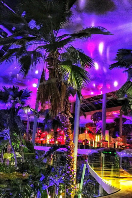 THERME BUCHAREST - TRANSFER + 4.5 HOURS ENTRANCE TICKET - Booking Process Steps