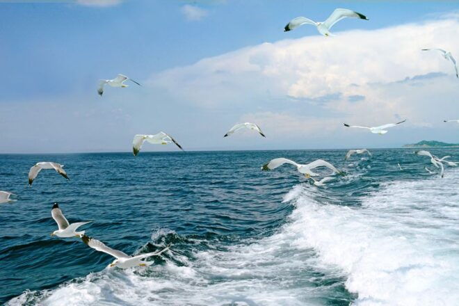 Thessaloniki: Day Trip to Ouranoupoli With Mt. Athos Cruise - Inclusions and Exclusions