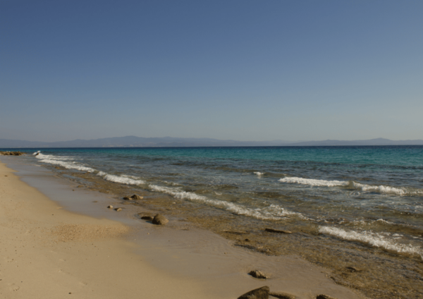Thessaloniki Day Trip to Petralona Cave,Afytos& Wine Tasting - Customer Feedback and Ratings