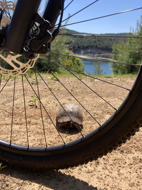 Thessaloniki E-bike Mountain Adventure Tour - Inclusions and Exclusions
