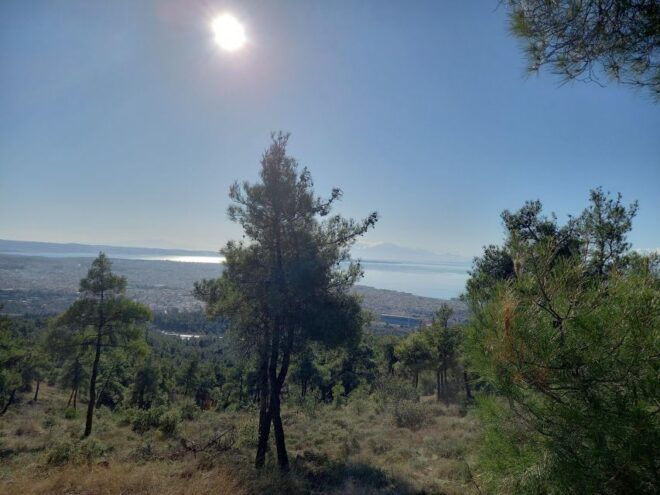 Thessaloniki E-MTB SHEIH SOU- CYCLING - The Sum Up