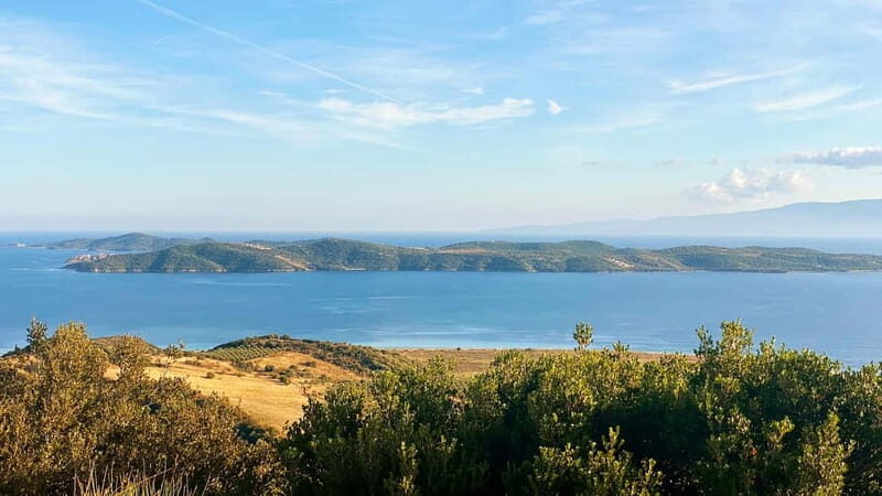 Thessaloniki: Halkidiki, Arnaia, Ierissos  Swim & Tasting - Return Journey and Reflection