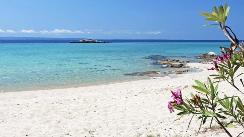 Thessaloniki: Halkidiki/Sithonia Swim, Sunset & Olive Tour - Final Thoughts