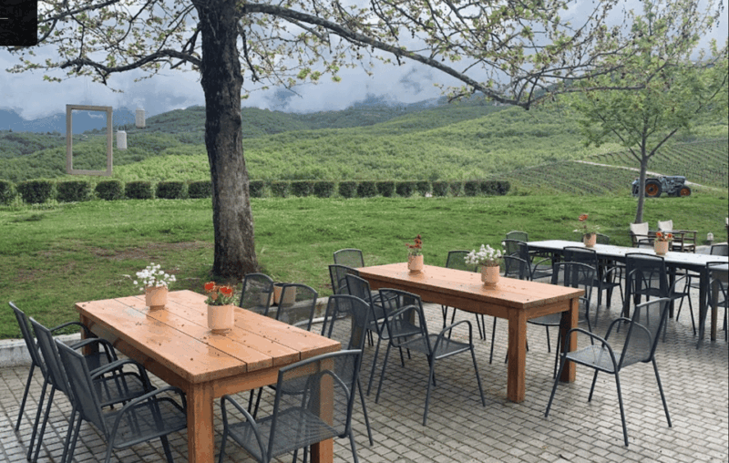 Thessaloniki: Naousa Wine Region Private Day Tour - The Logistics and Value