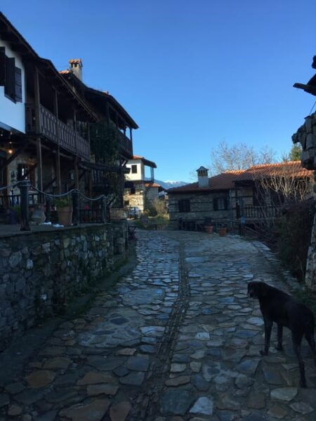 Thessaloniki Old Panteleimonas, Litochoro, Enipea Canyon - Frequently Asked Questions