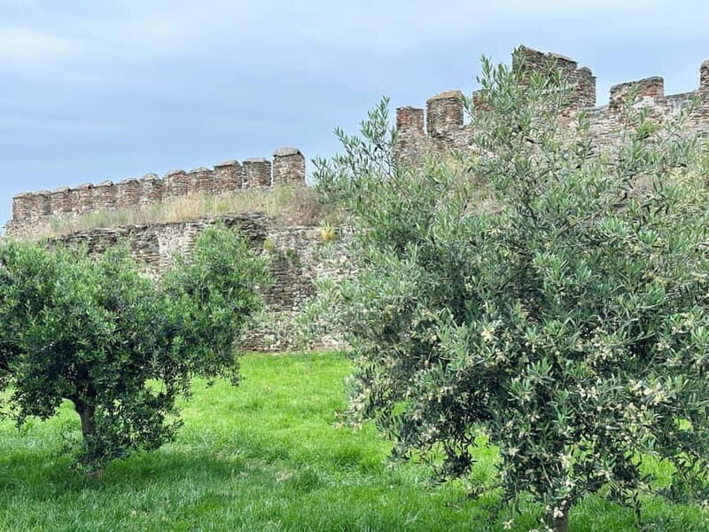 Thessaloniki Old Town Walking Tour-Culture-Nature-Plants - Exploring Thessaloniki Old Town: An Authentic Journey