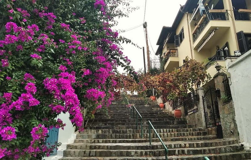 Thessaloniki Old Town Walking Tour-Culture-Nature-Plants - Final Words