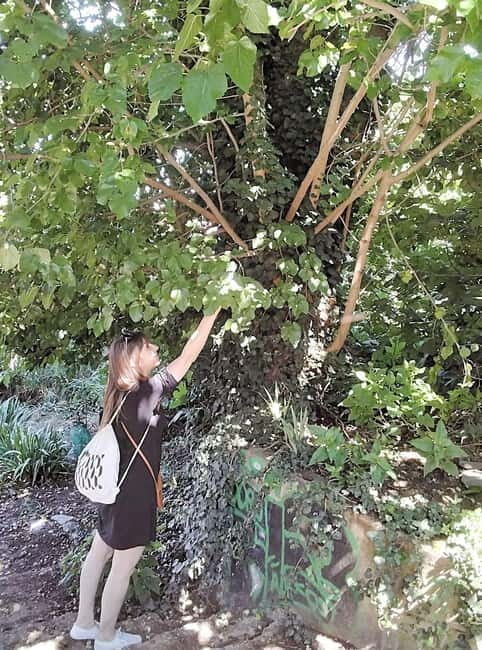 Thessaloniki Old Town Walking Tour-Culture-Nature-Plants - FAQs about the Thessaloniki Old Town Walking Tour
