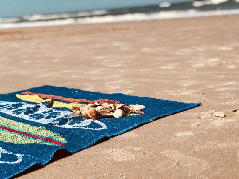 Thessaloniki: Panoramic Mount Athos and beach day cruise - Who is this tour perfect for?