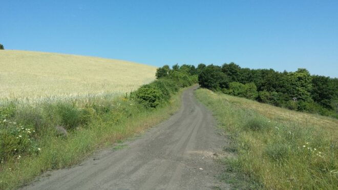 Thessaloniki: Private Mountain and Beaches SUV Safari - Customer Review and Testimonial