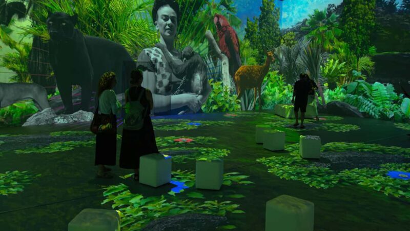 Thessaloniki: Ticket for Frida Kahlo Beyond the Icon Immersive Experience - What We Loved & What to Keep in Mind