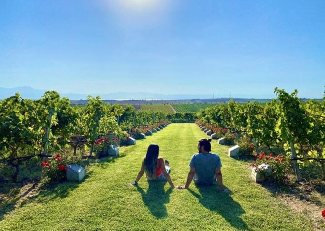 Thessaloniki:Private Wine Tour to Ktima Gerovassiliou - Visiting Hours and Tour Times