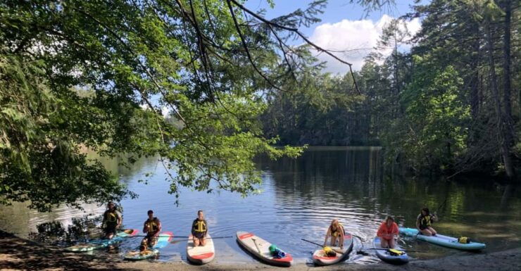 Thetis Lake: Paddle Board Tour With Gear Included - Good To Know