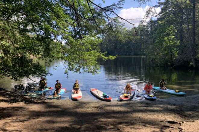 Thetis Lake: Paddle Board Tour With Gear Included - Skill Level Suitability
