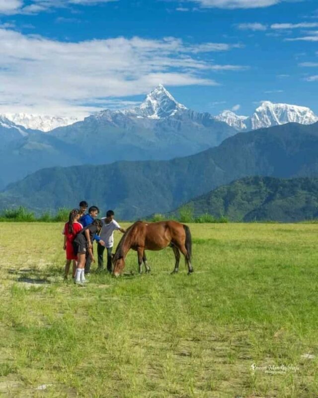 Things to Do at Pokhara: Iconic Destination City Tour - Phewa Lake & Lunch Break