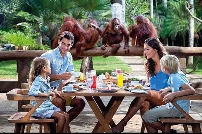 Things to do - Breakfast with Orang Utan - FAQ