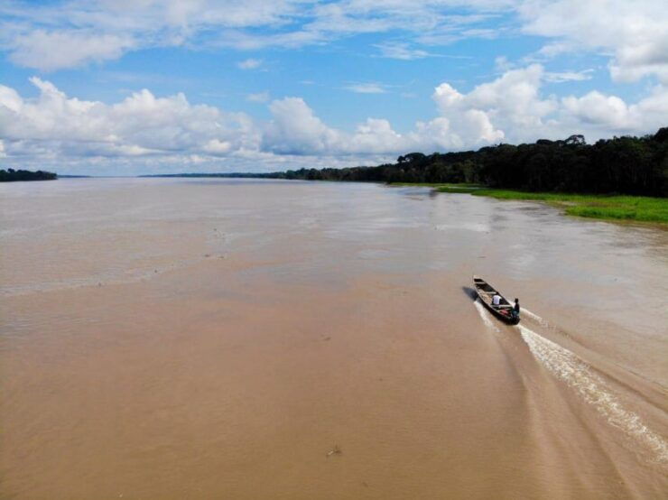 Things to Do Getyourguide - Biodiversity Exploration