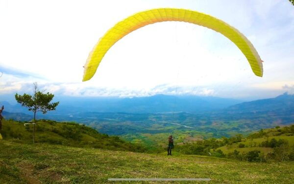 Things to Do Getyourguide - Festival Accommodations