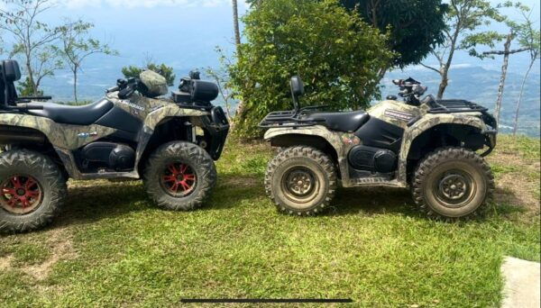 Things to Do Getyourguide - Host and Greeter Details