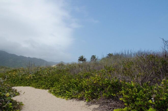 Things to Do Getyourguide - Additional Details for Getyourguide