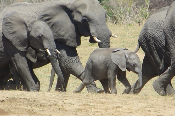 Things to Do in Victoria Falls Combo 5 - Good To Know