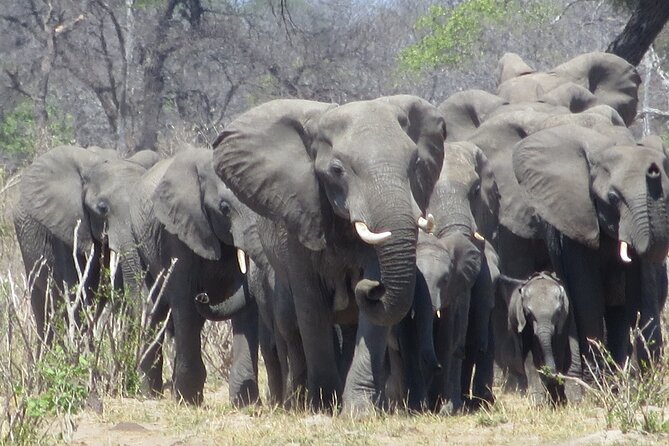 Things to Do in Victoria Falls Combo 5 - Inclusions