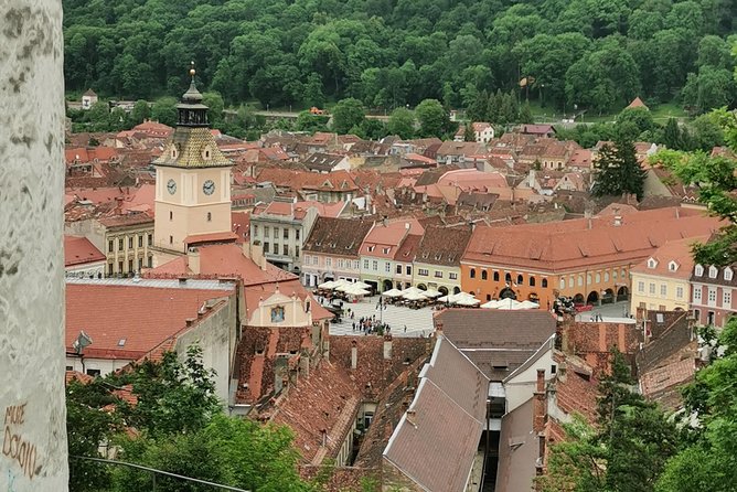 Things to Do, Transylvania & Draculas Castle Tour in One Day! - Discover Bran Castle
