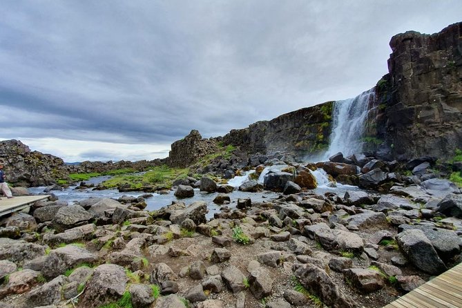 Thingvellir National Park Tour ( Þingvellir ) - Wildlife and Flora in Thingvellir