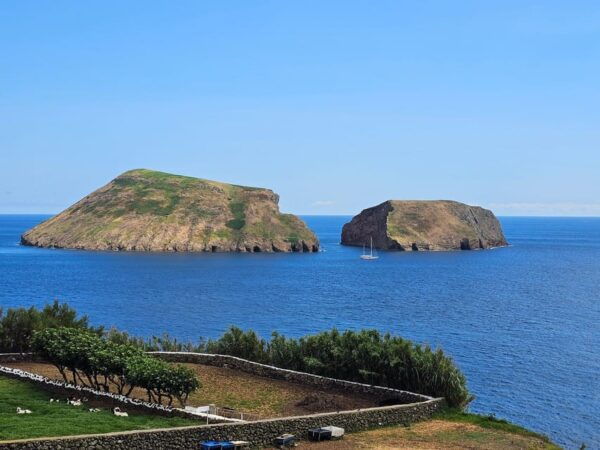 Third Island Half-Day Tour: Enchanted Bays With Tasting - Pickup and Drop-off Locations