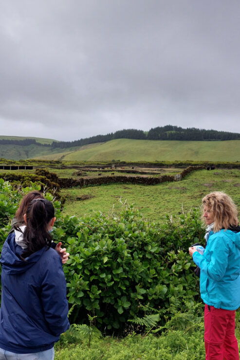Third: Land Tour for Cruise Ship Visitors - Good To Know