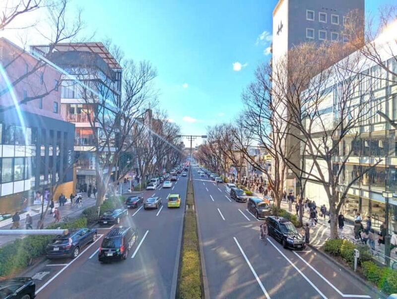 This is Real TOKYO!! SHIBUYA Tour from TGP!! - Final Thoughts